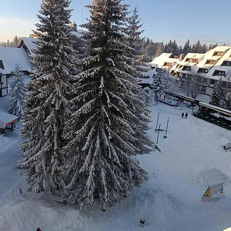 Iva Kop Konaci * Kopaonik